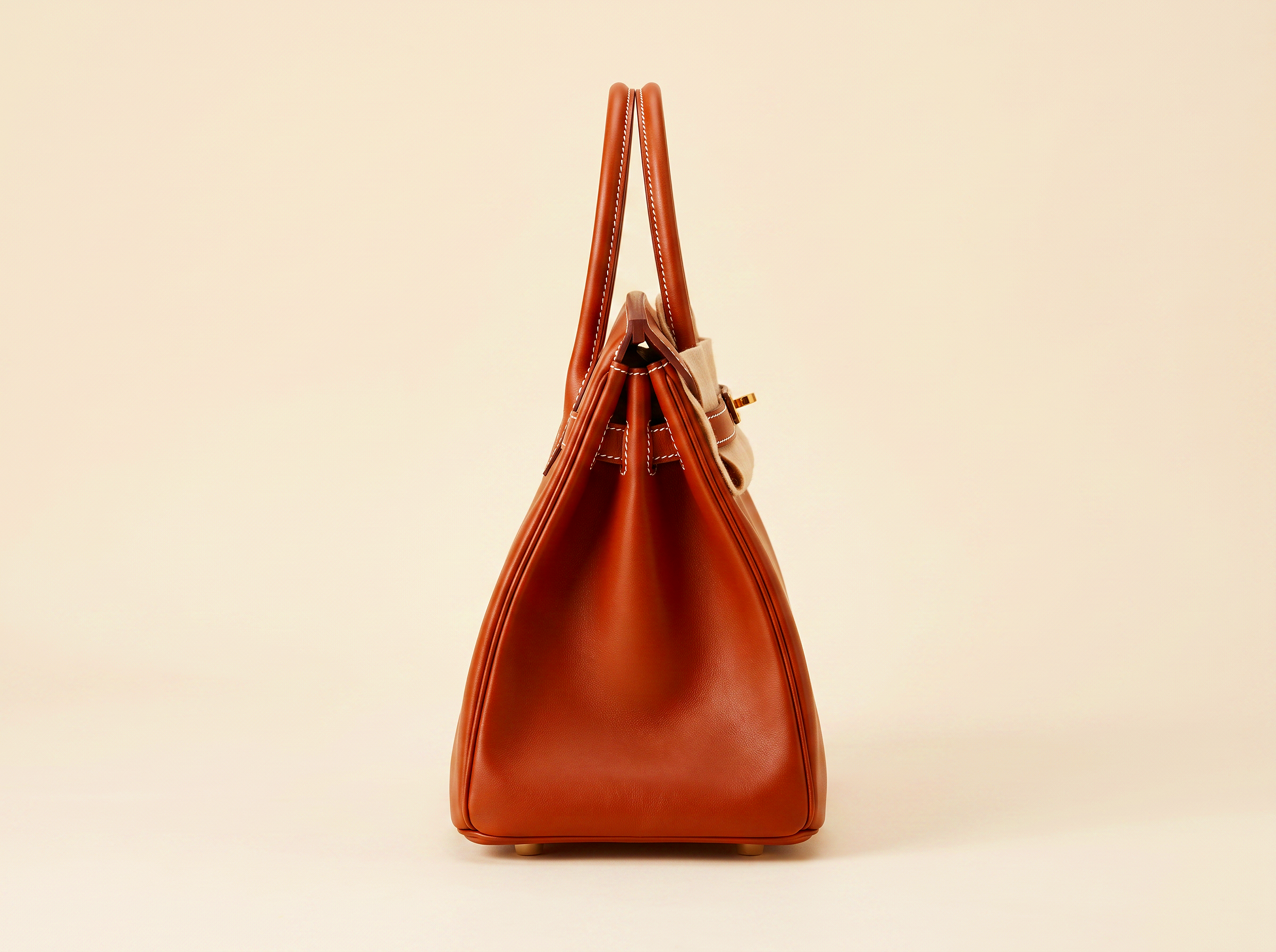 Luxury+Leather+Handbag+Profile.png