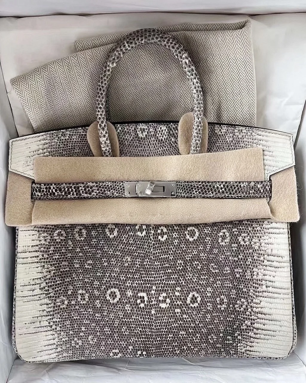 Hermès 25cm Birkin Ombre Lizard (1B) Gold Hardware Year G (2026)