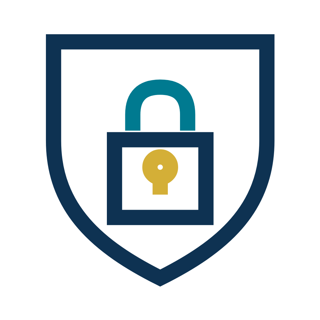 Cybersecurity & Privacy