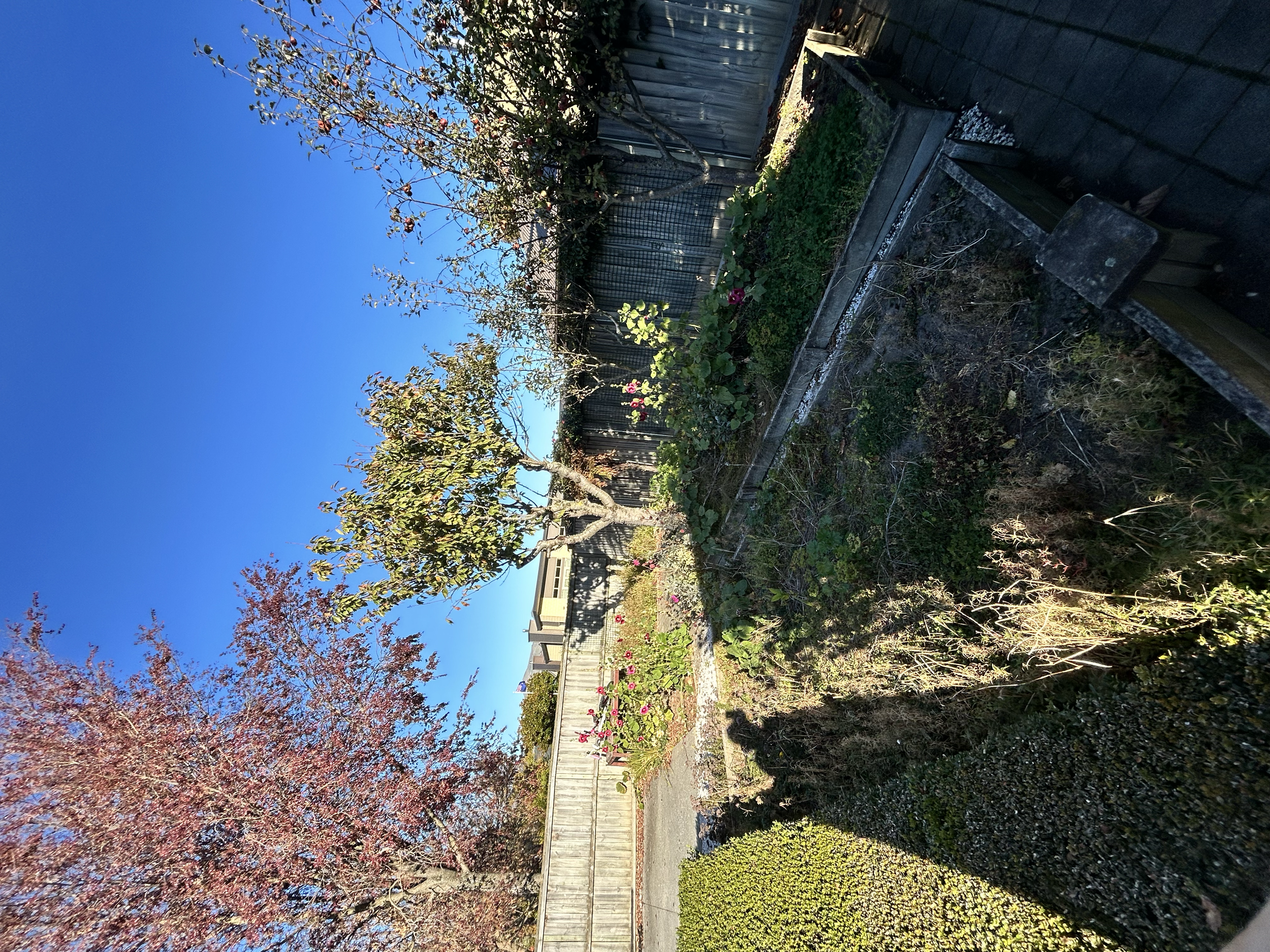 A garden with trees, flowering plants, and shrubs, enclosed by a wooden fence under a clear blue sky.