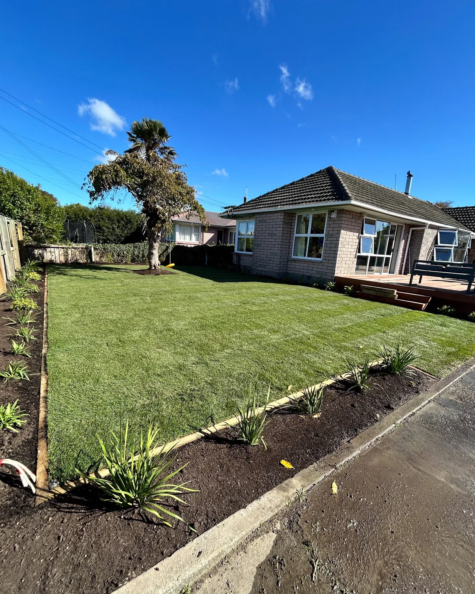 A backyard with a well-maintained lawn, a tree, and a house with large windows and a tiled roof. The yard includes a paved pathway, a wooden bench, and a garden bed with small plants.