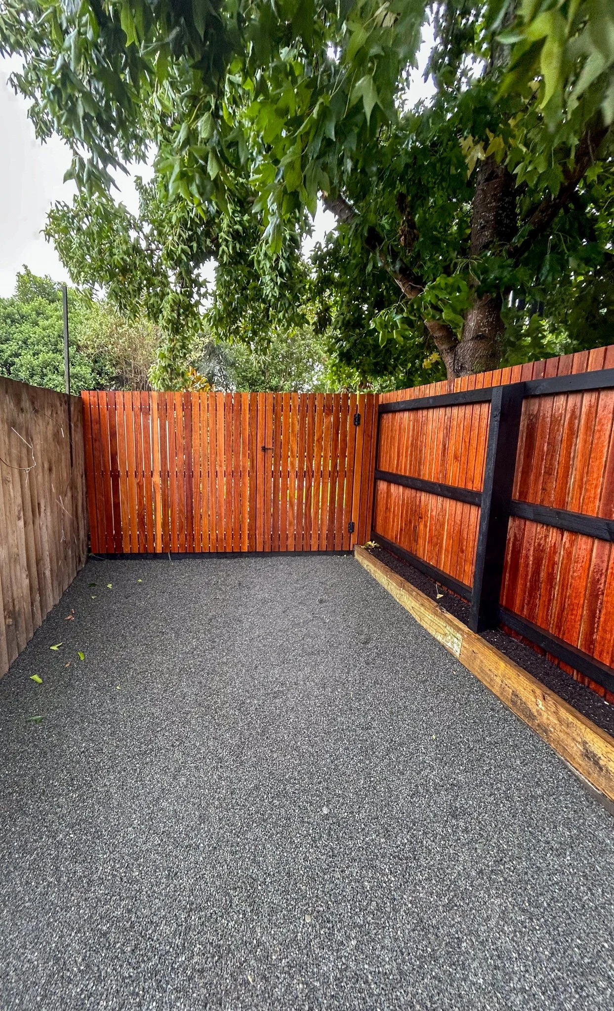 A small outdoor patio area with black textured ground, wooden privacy fence panels, and a large leafy green tree overhead.