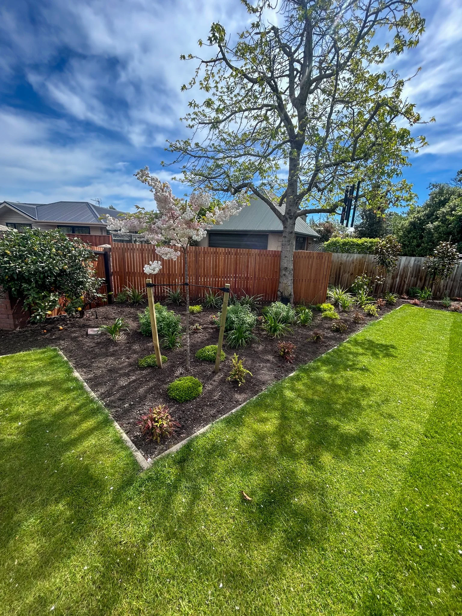 View of a backyard garden with a freshly planted flower bed, small bushes, a large tree with green leaves, a wooden fence, and a blue sky with some clouds.