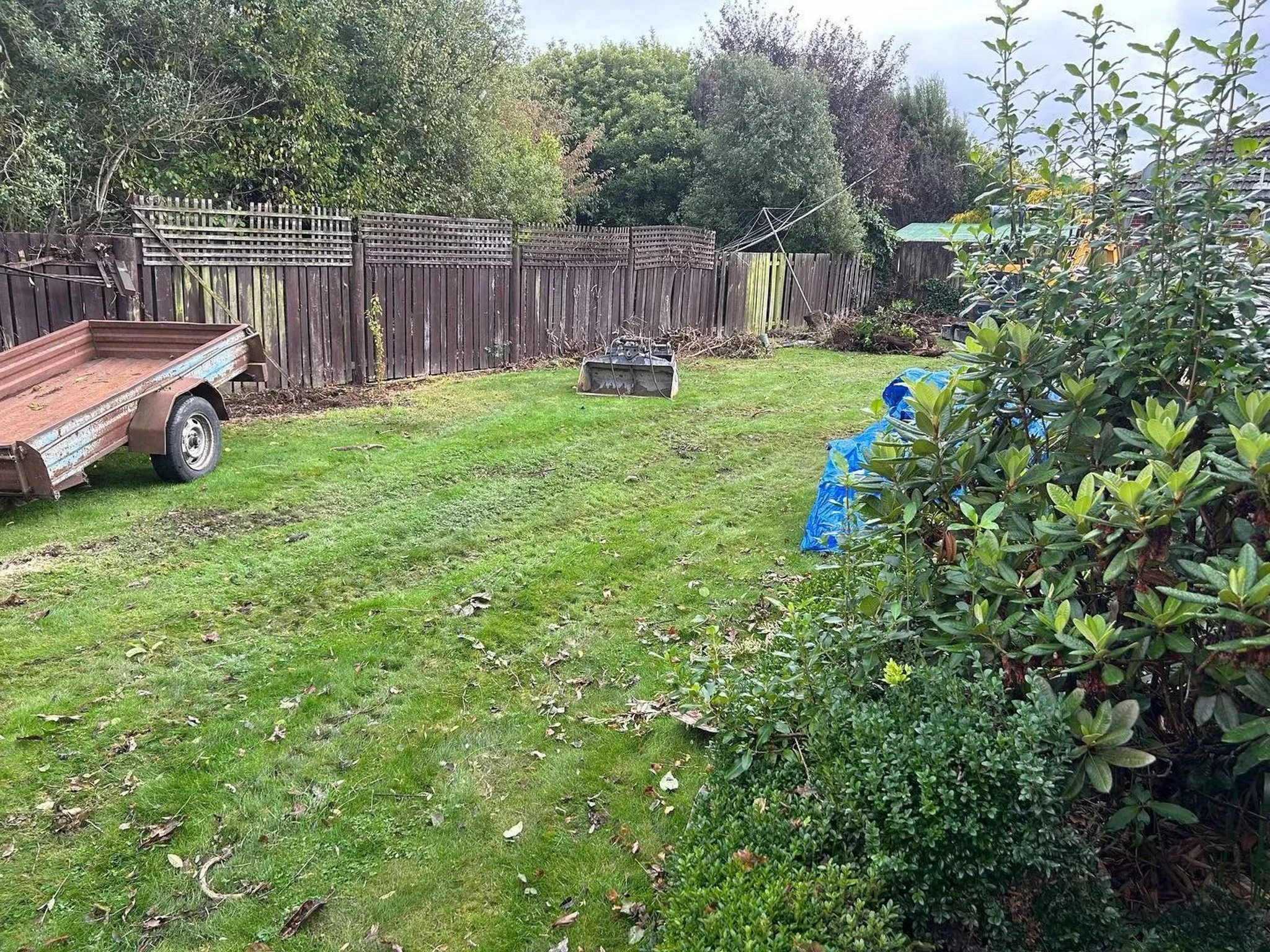 A backyard with a wooden fence, green grass, and various bushes and trees. A small trailer and some gardening tools are on the ground.