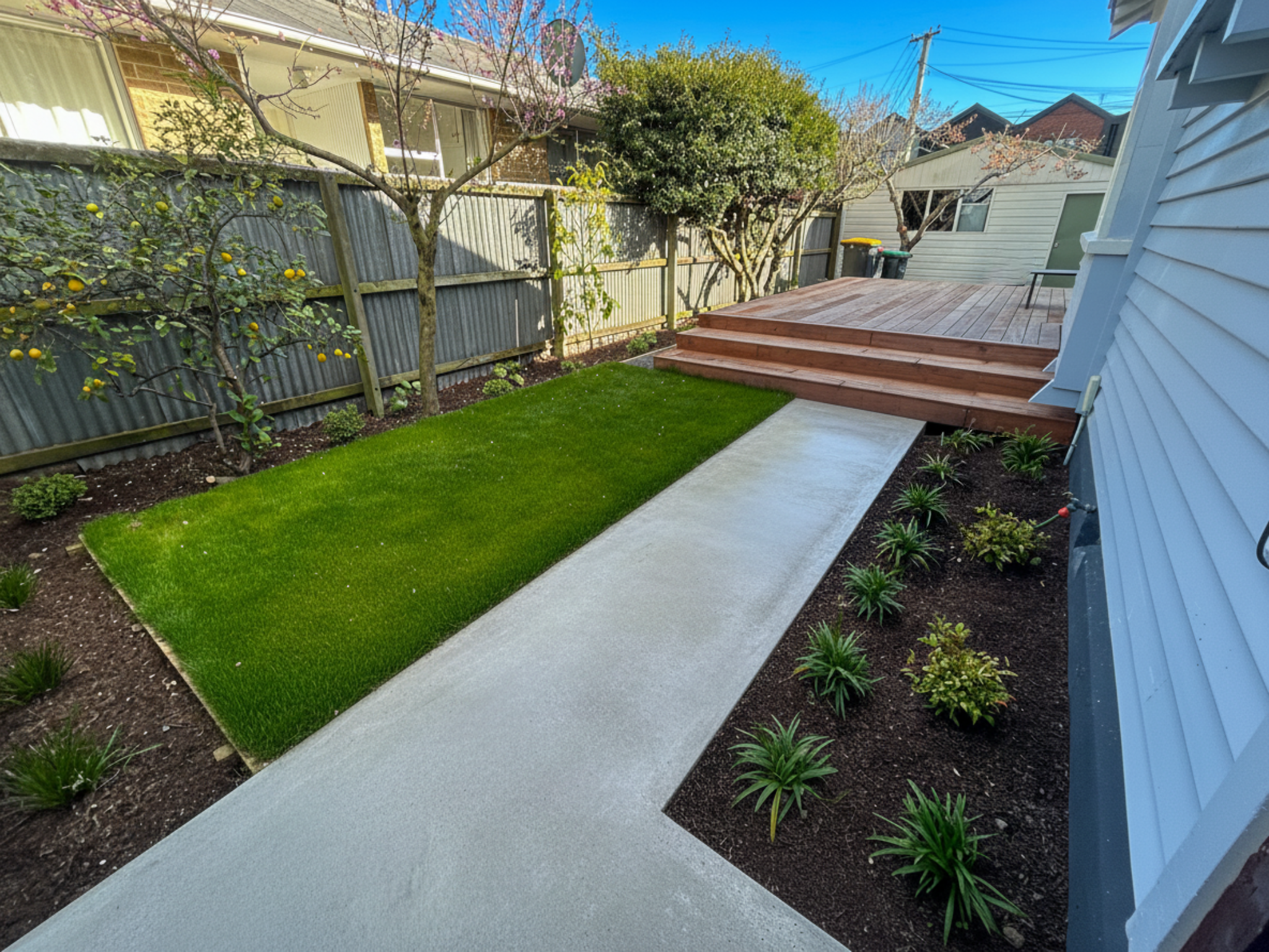 A backyard with a neatly trimmed green lawn, a concrete walkway, and a wooden deck with stairs. There are small trees with pink and green leaves, a hedge with yellow fruit, and a garden bed with small plants. A modern house with siding is partially v