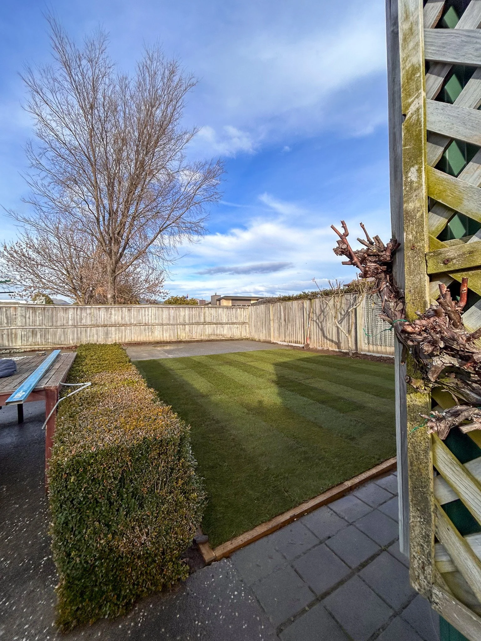 A backyard with a large leafless tree, a wooden fence, a grassy lawn, and a corner of a patio with a hedge and a bench. A partly cloudy sky is visible.
