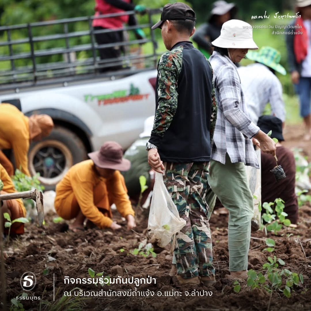 ปลูกป่าถ้ำแจ้งรักษ์ถ้ำแจ้ง 006.jpg