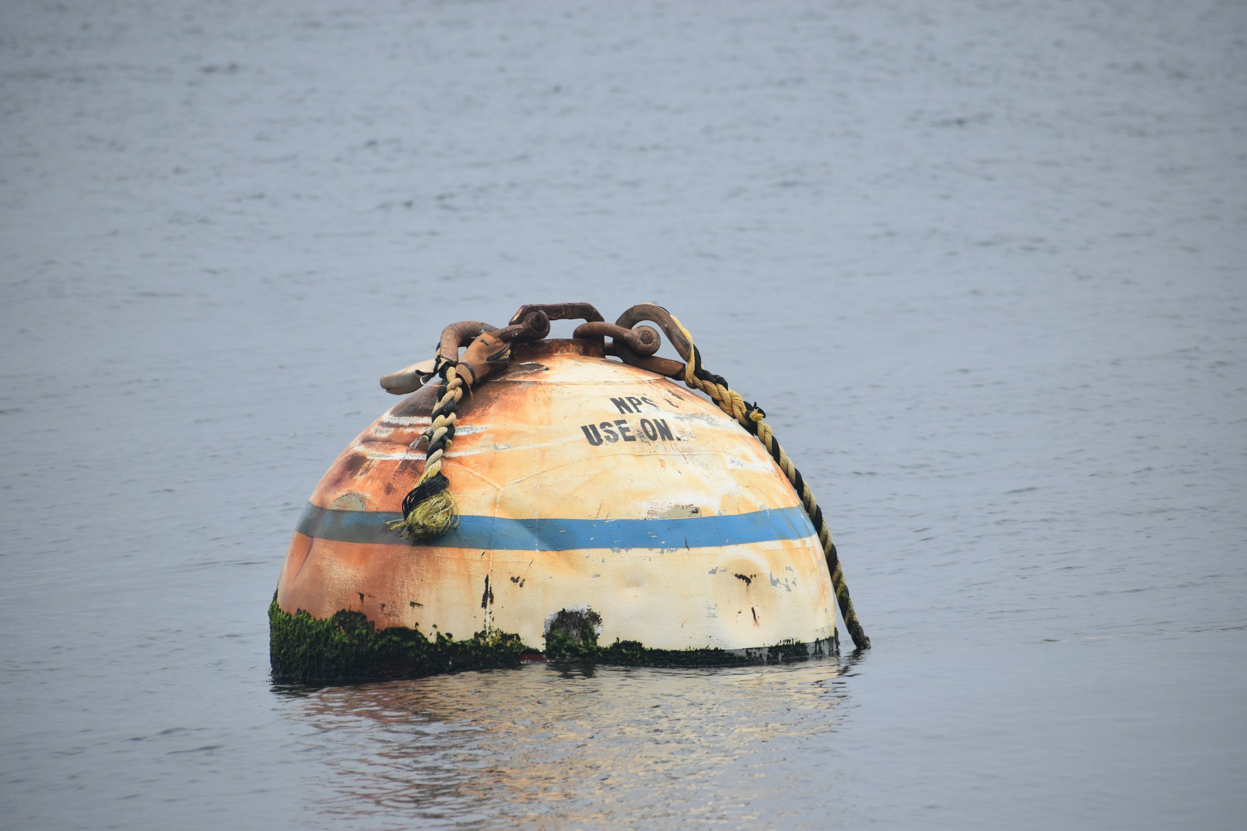 An old, weathered buoy floating in water, covered in moss at the bottom, with ropes attached to it, and text that reads 'USE ON' and 'MP'.