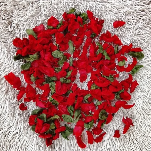 petali e foglie artificiali.jfif