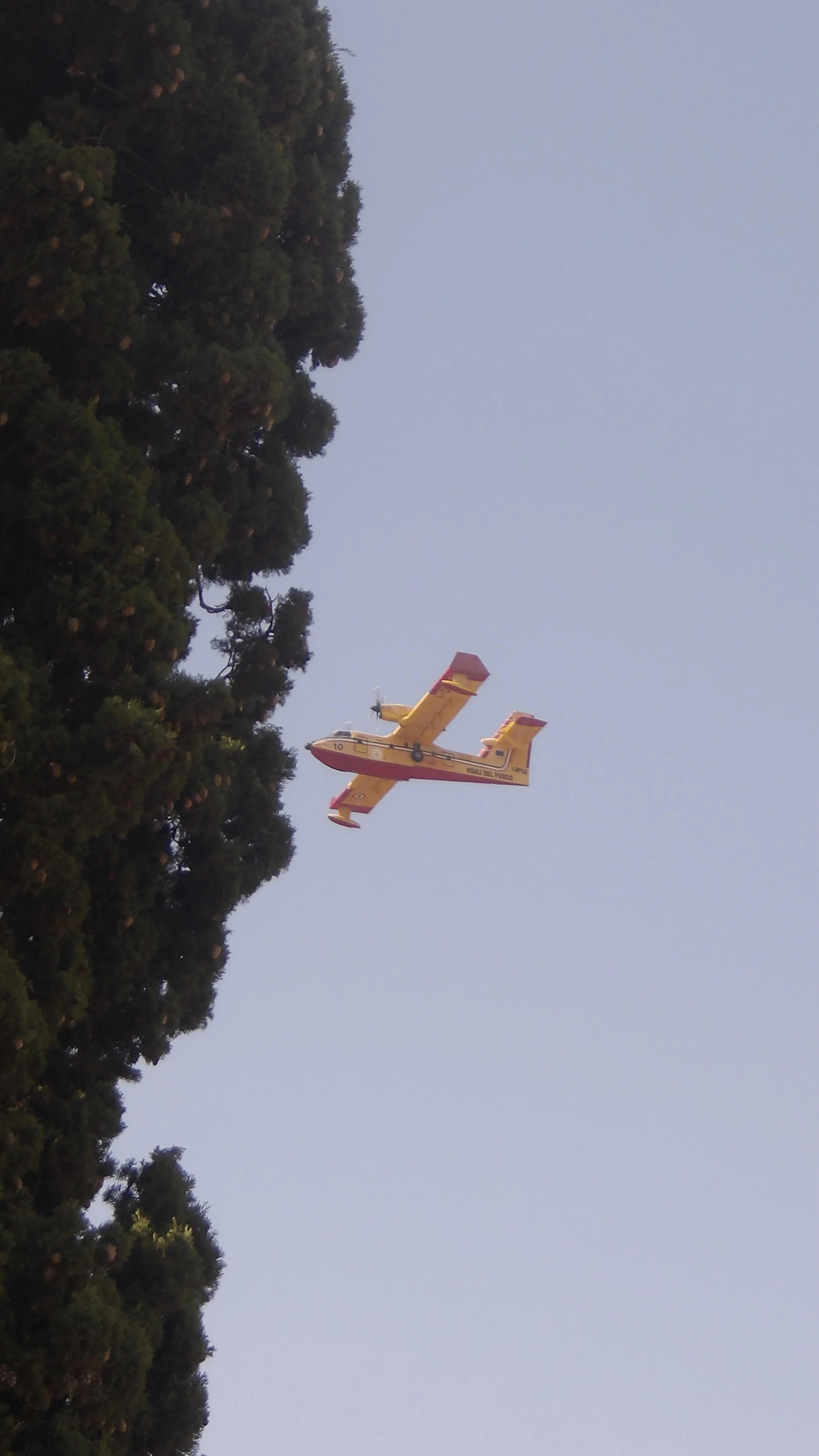 100_0082.jpg