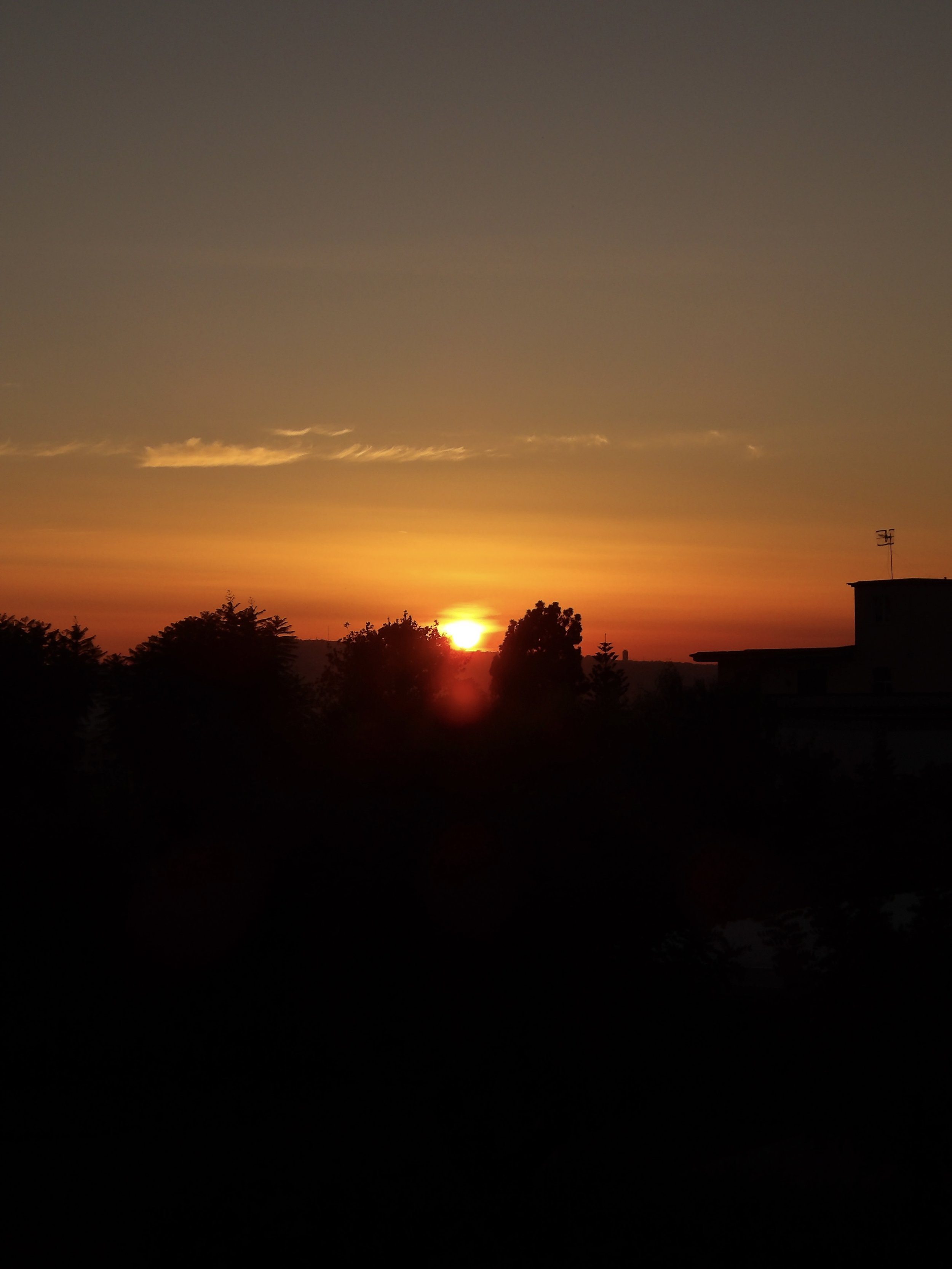 100_0002.jpg