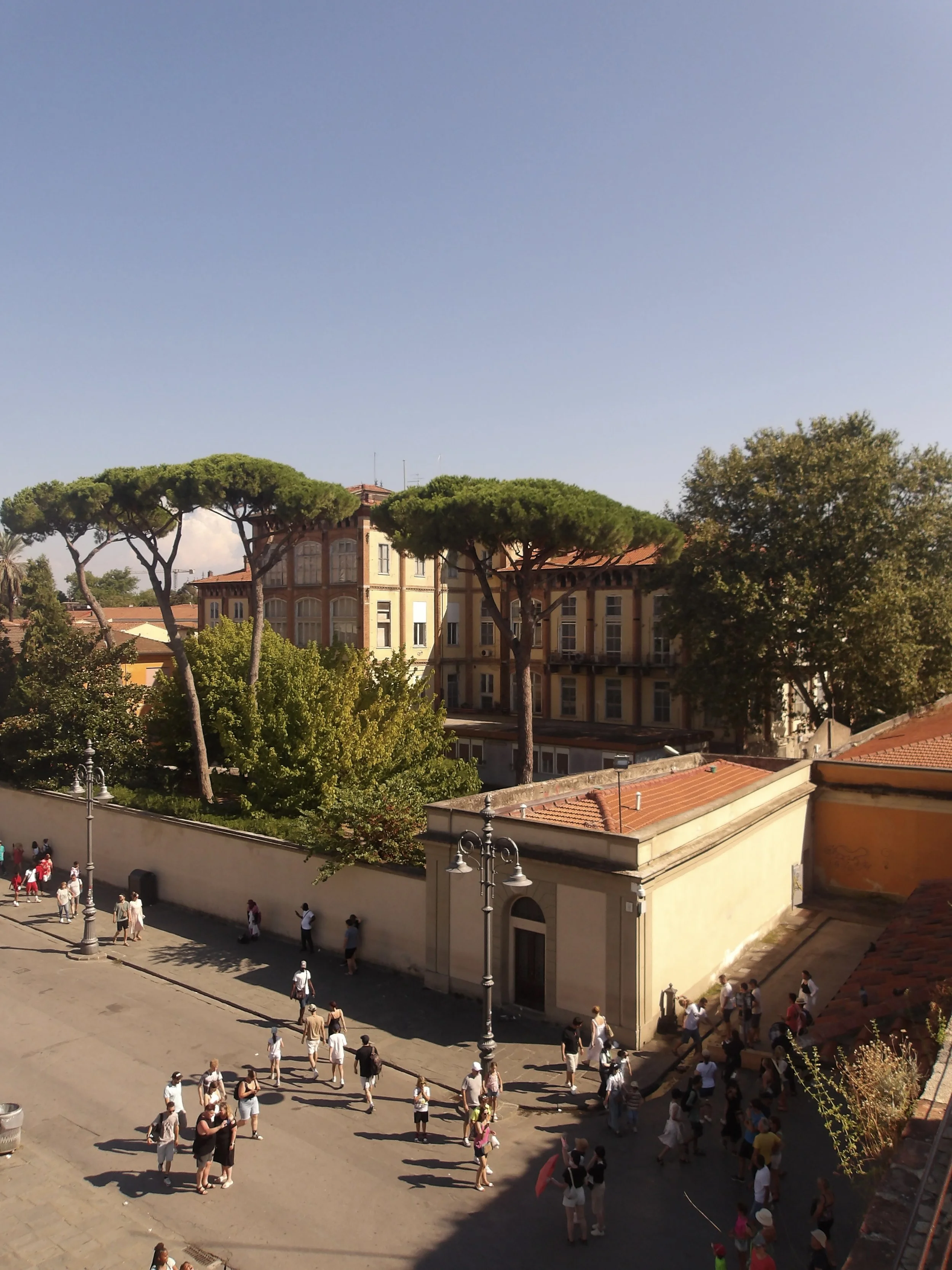 100_0050.jpg