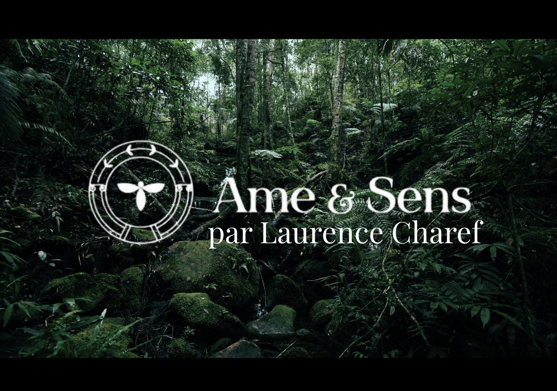 par Laurence Charef.png