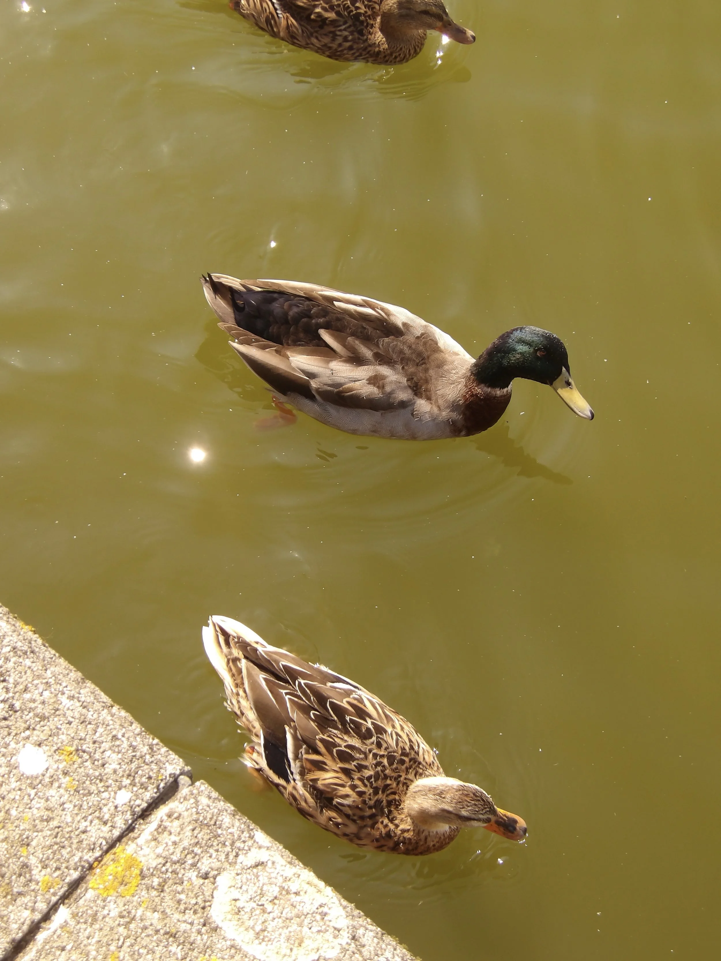 100_0040.jpg
