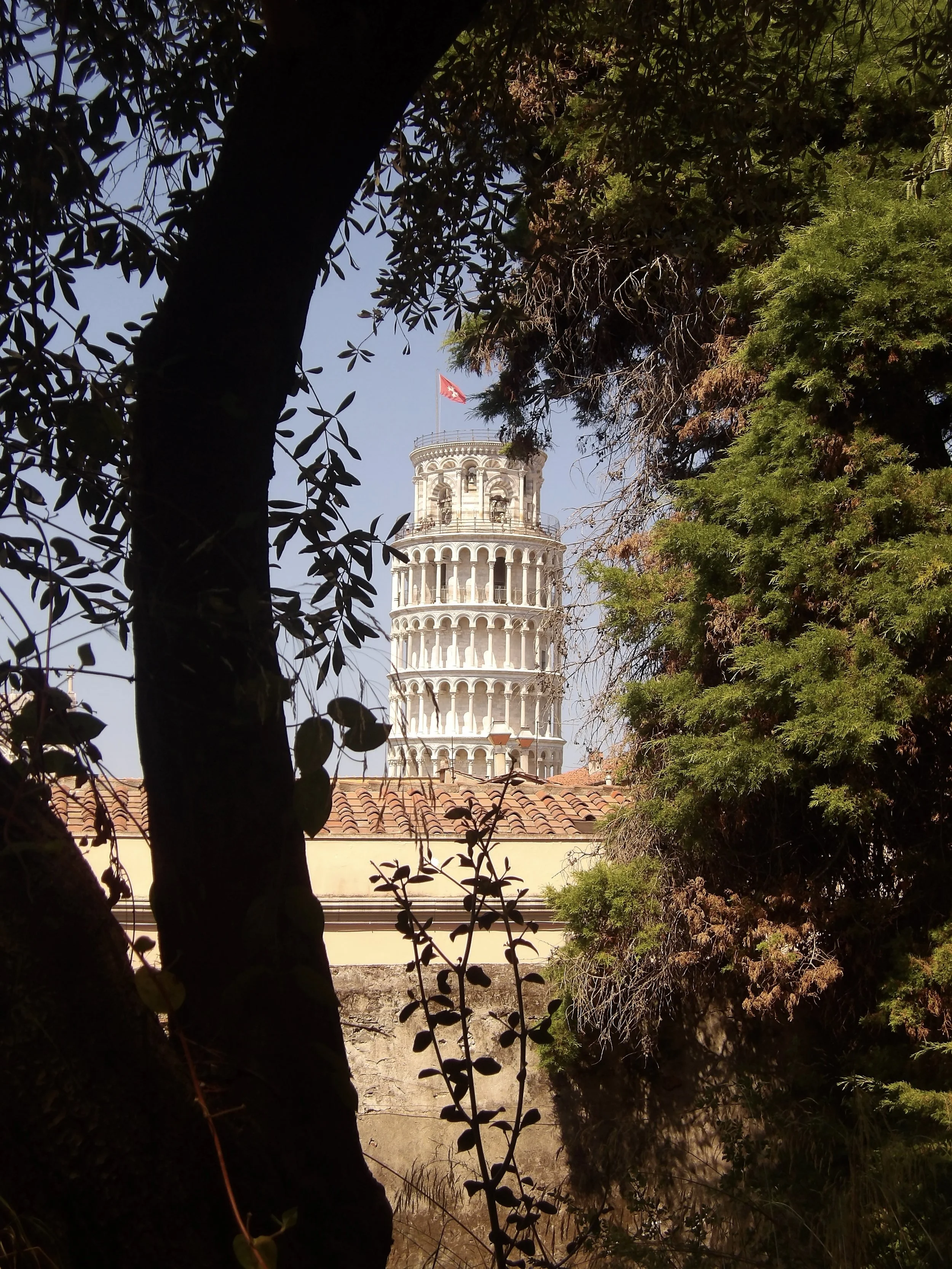 100_0017 2.jpg