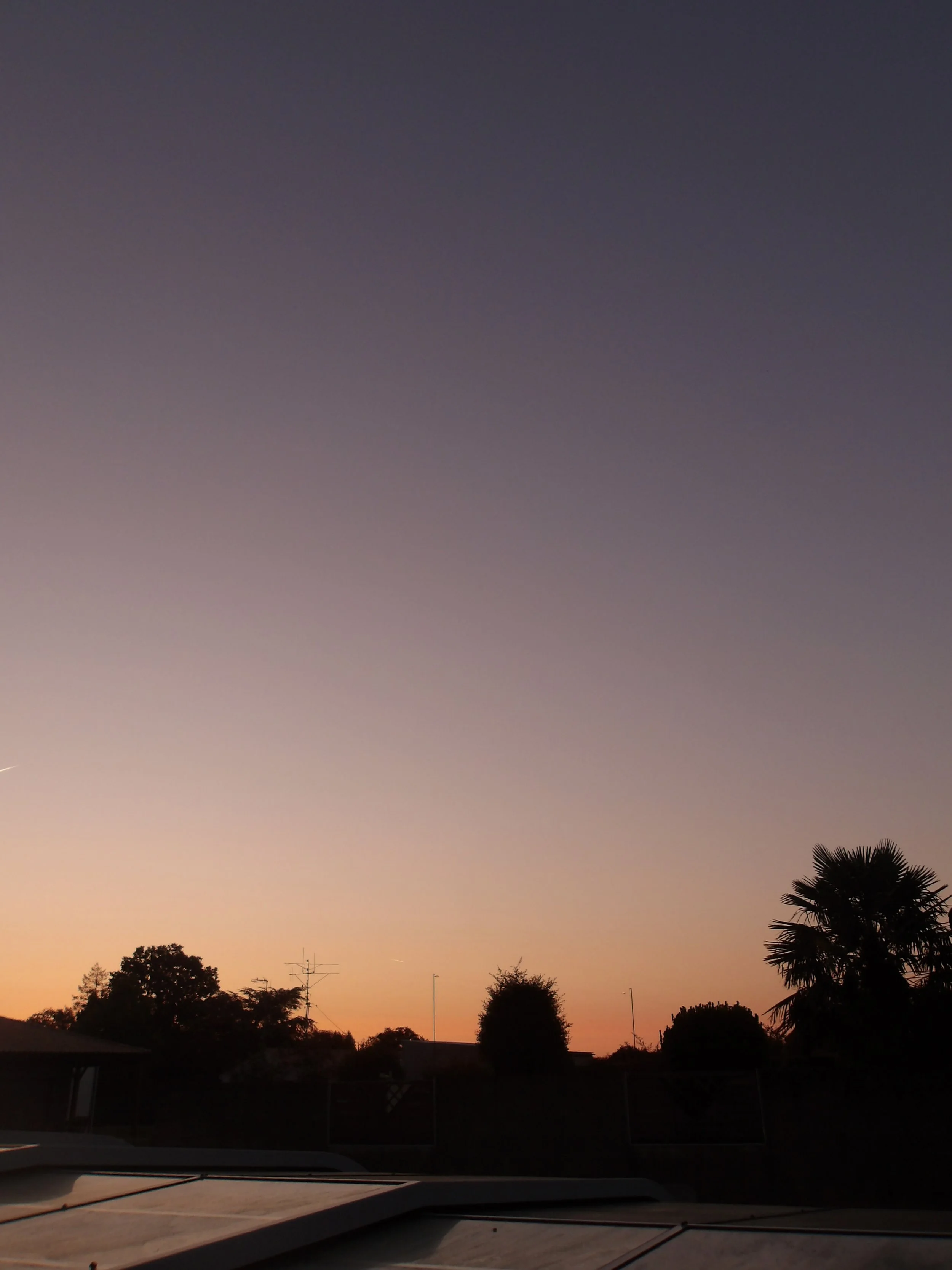 100_0009.jpg
