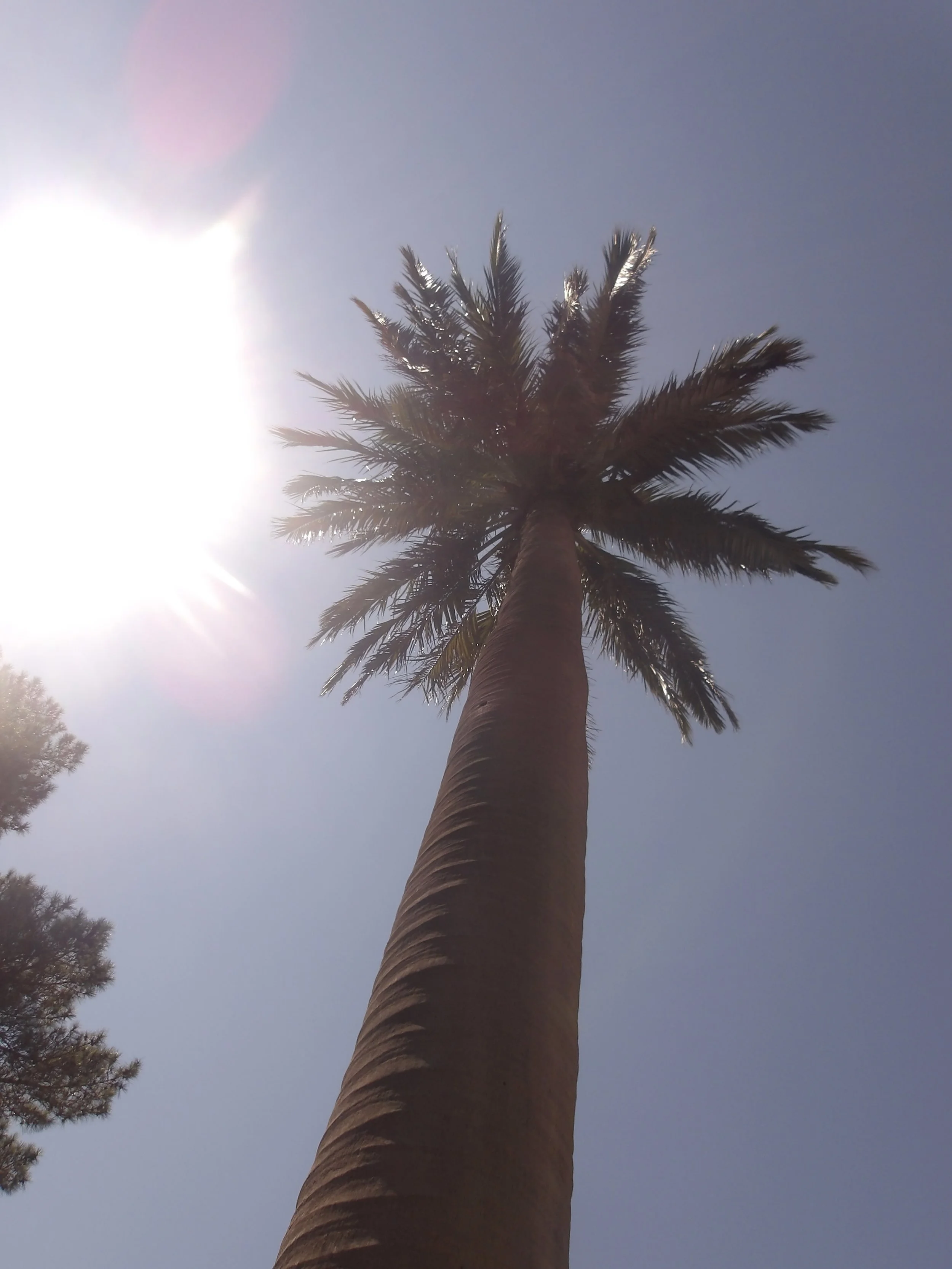 100_0015 2.jpg