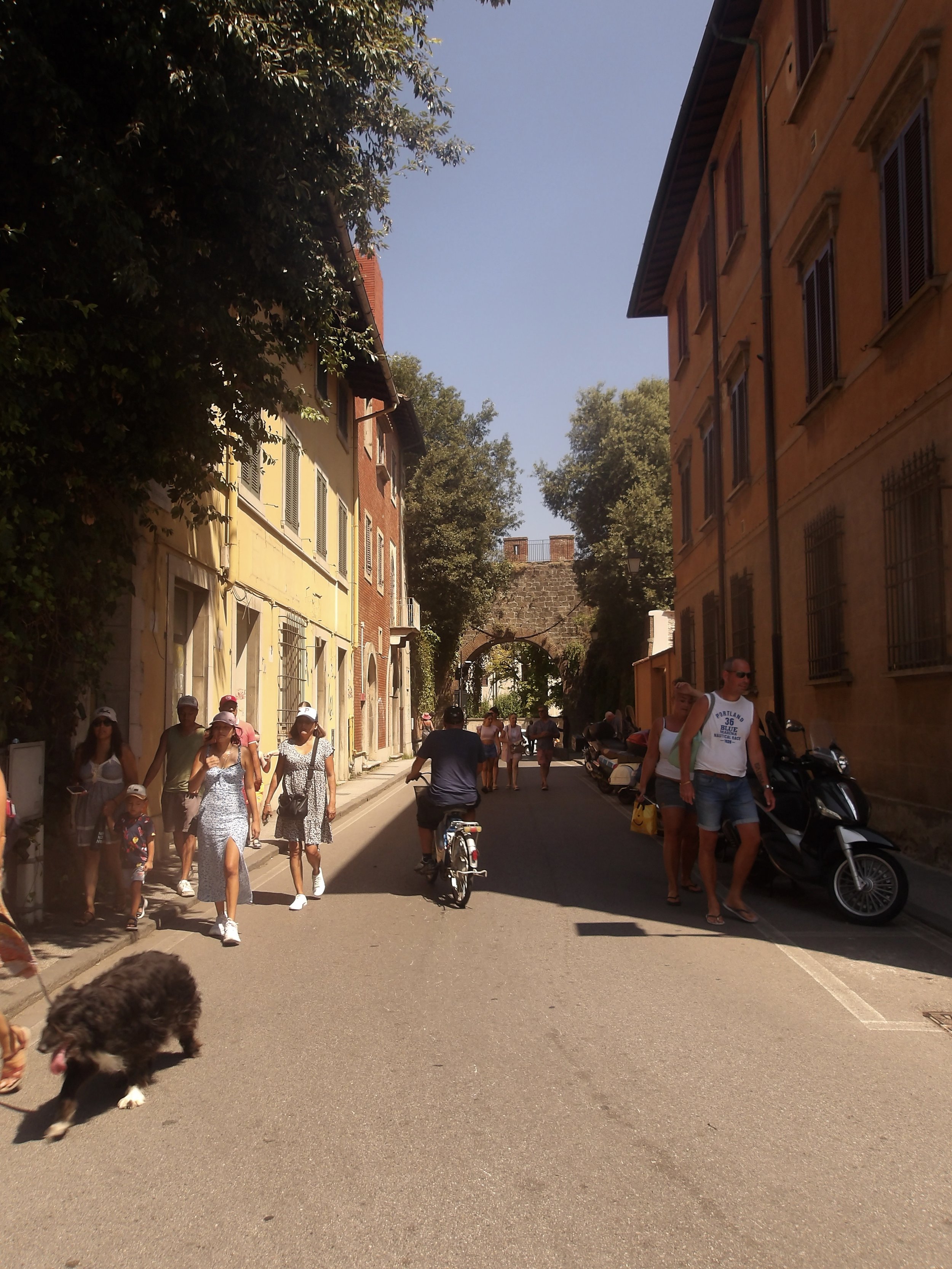 100_0049.jpg