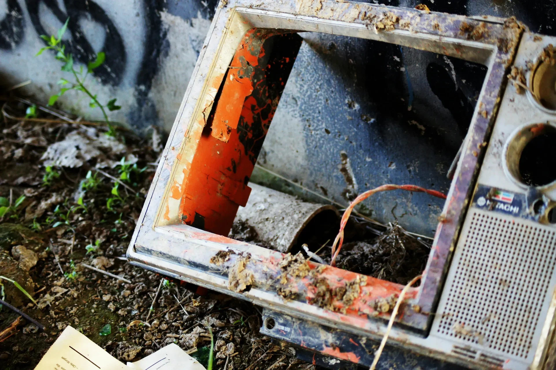 10 Simple Ways to Reduce Waste Before Booking a Collection