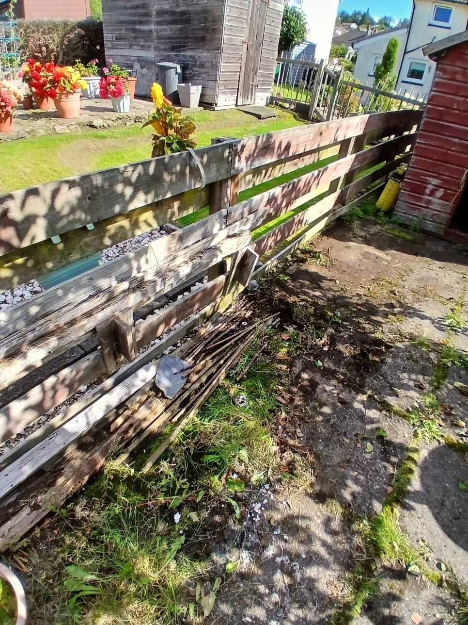joe_junk_cardross_2.jpg