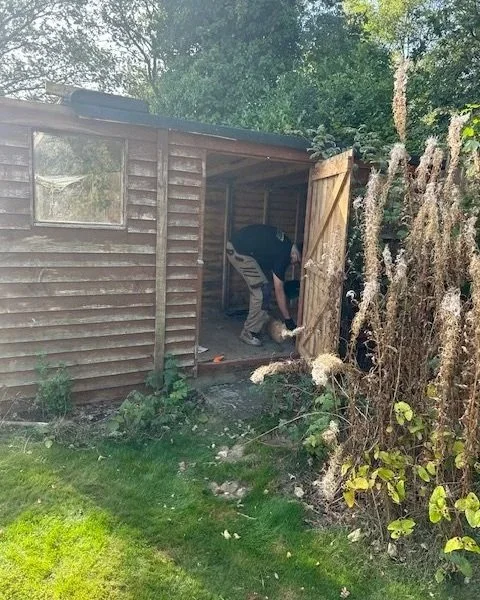 joe_junk_shed_removal_2.jpg