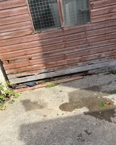 joe_junk_durham_rubbish.jpg