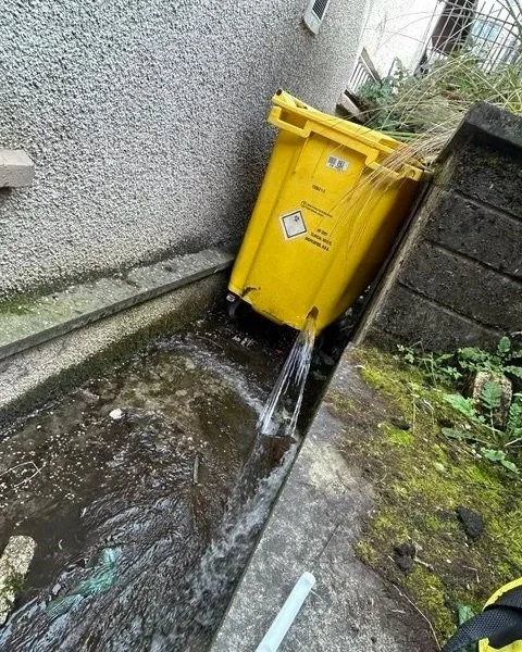 joe_junk_bathagte_office.jpg