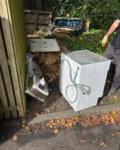 paisley_joe_junk_rubbish.jpg