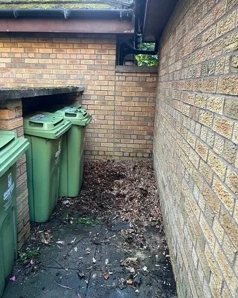 west_end_joe_junk_glasgow_1.jpg