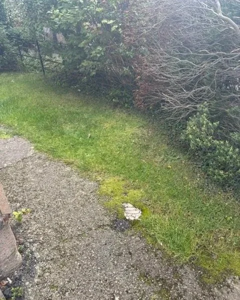 joe_junk_corstorphine.jpg