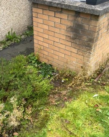 joe_junk_milngavie_1.jpg