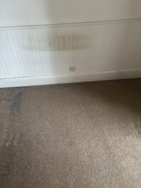 glasgow_house_clearance_joe_junk_7.jpeg