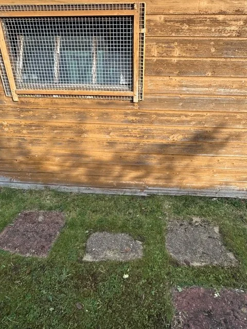 knightswood_joe_junk-2.jpeg