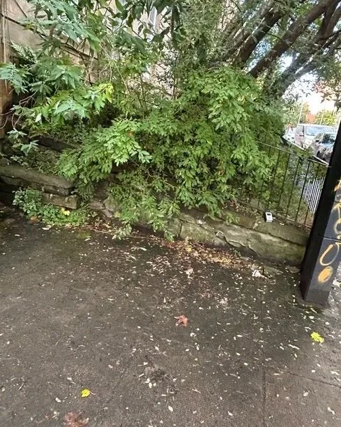 glasgowwestend_joejunk_3.jpg