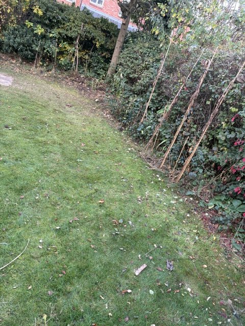 Allotment and Community Garden Clearances: What's Different From a Home Garden