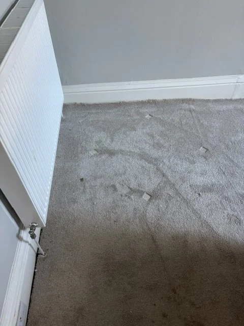5_ Marchmont.jpeg