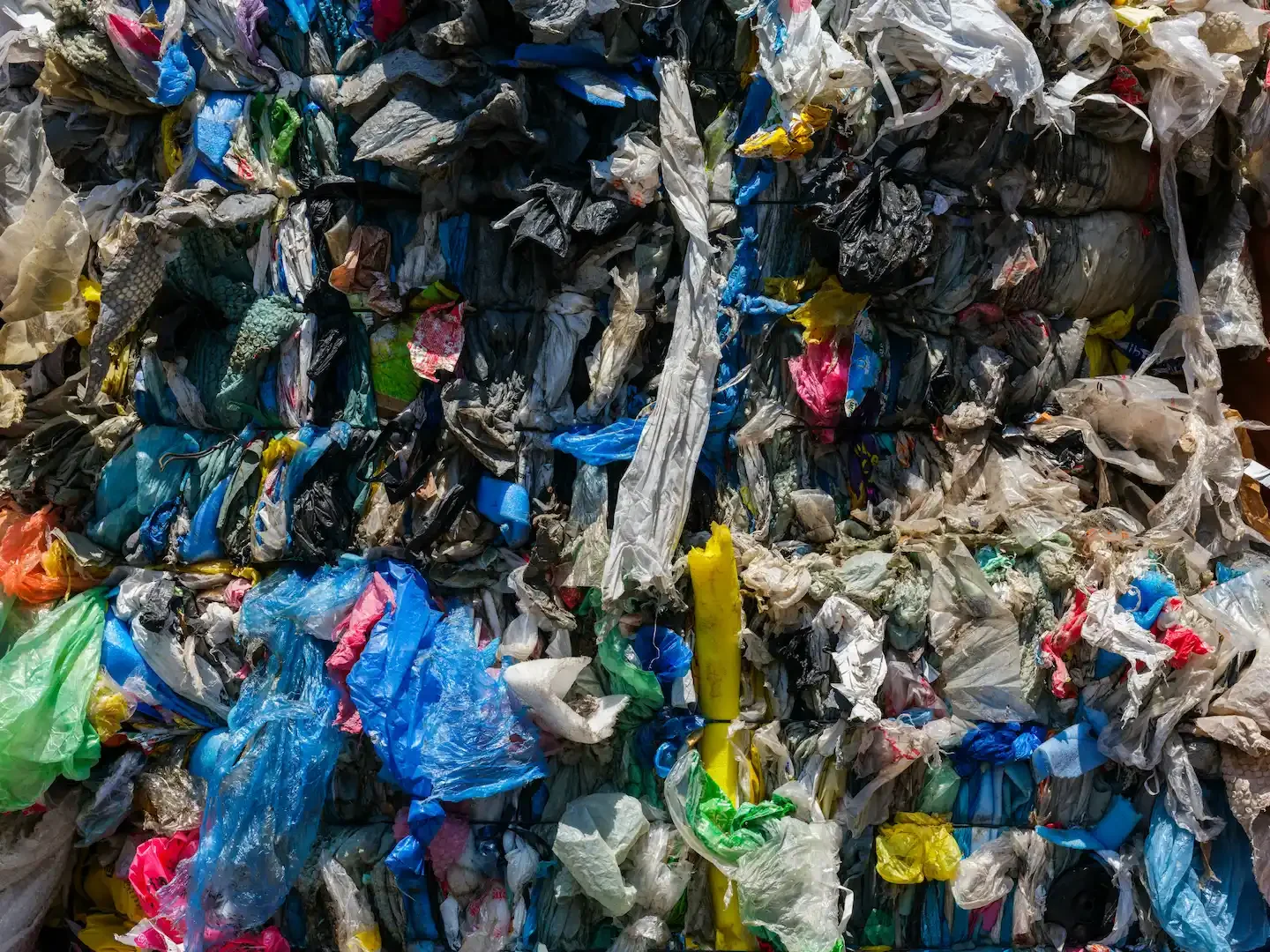 What Happens to Your Junk After Collection?