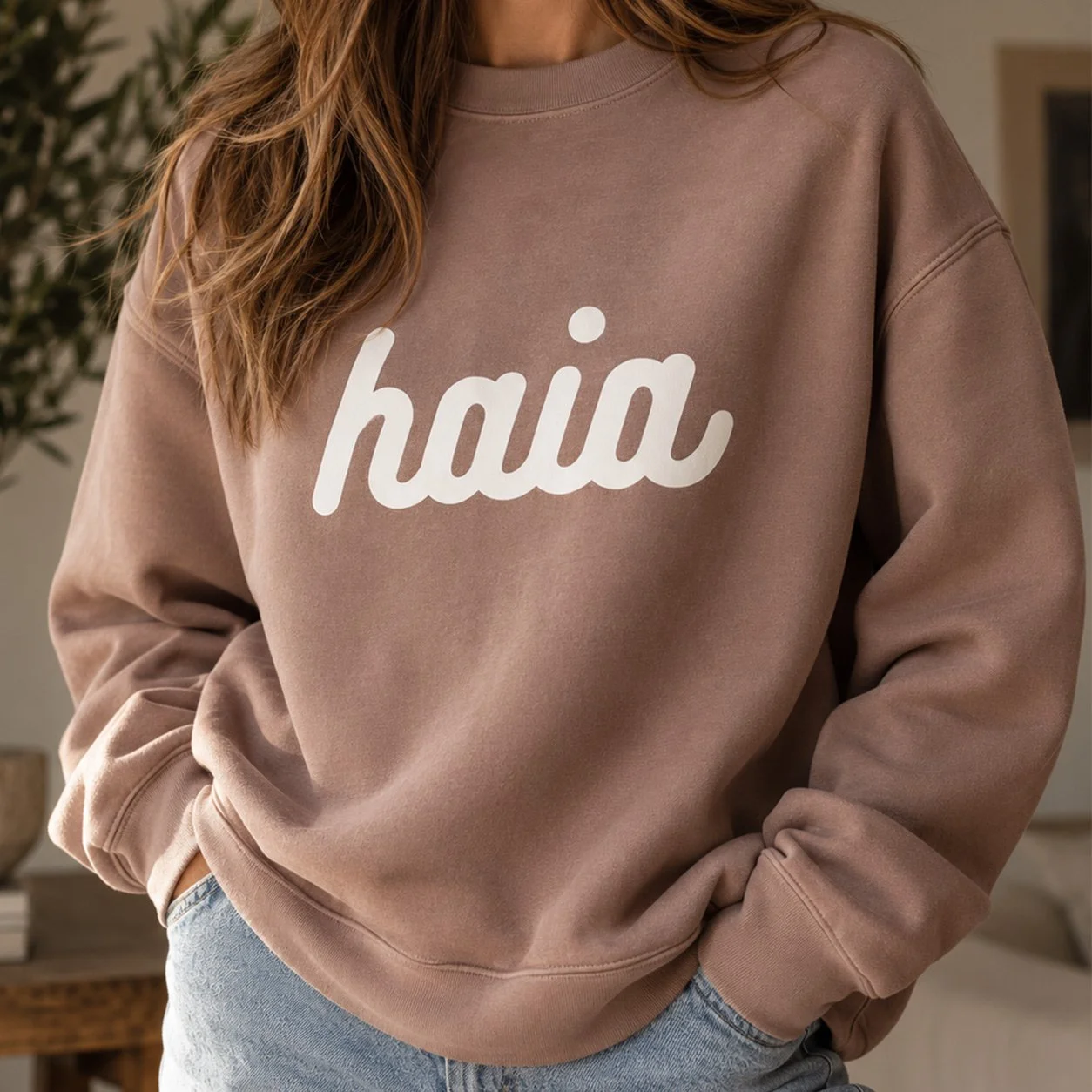 haia_visual.jpg