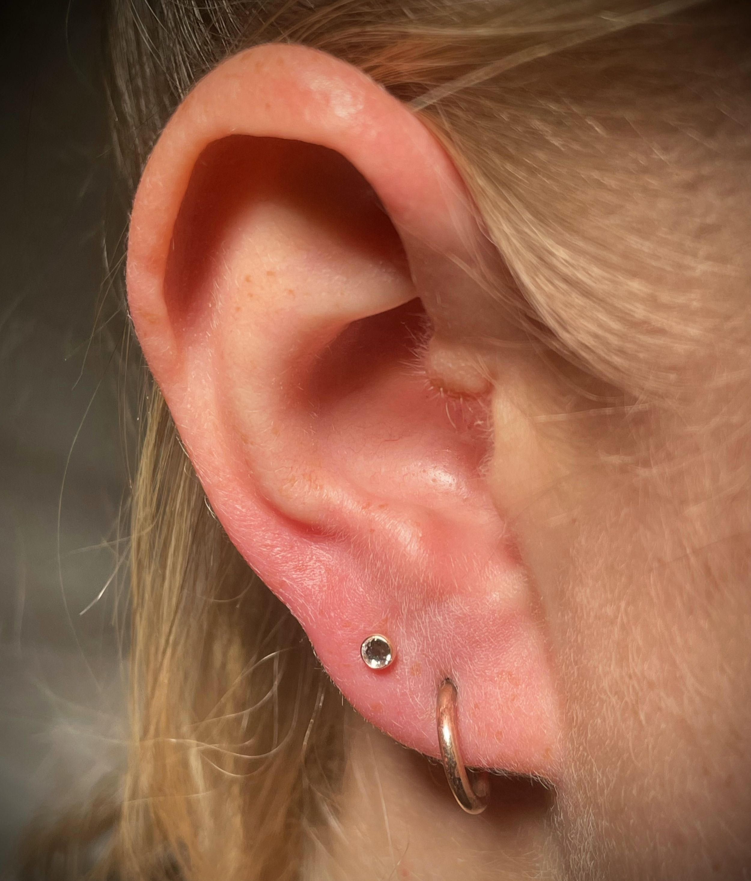 Nahaufnahme eines menschlichen Ohrs mit einem Ohrpiercing, blondes Haar im Hintergrund.