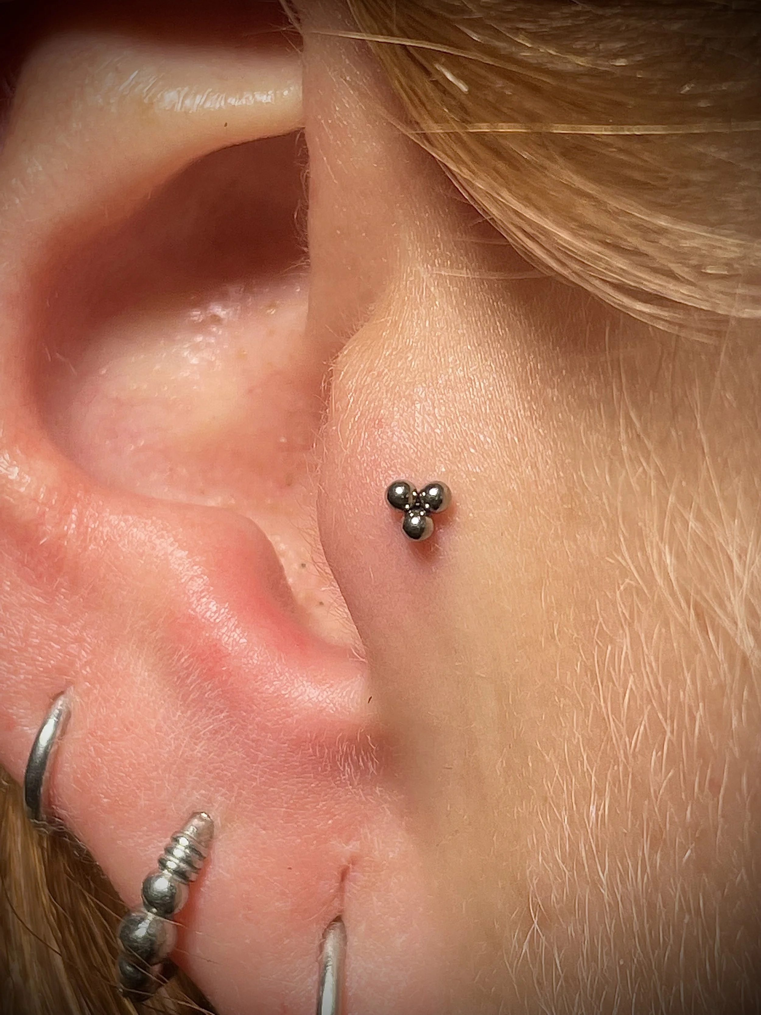 Nahaufnahme eines menschlichen Ohrs mit mehreren Piercings, einschließlich eines tragbaren Piercings mit schwarzem Ball an der Helix und mehreren Streifenpiercings an der Lobe.