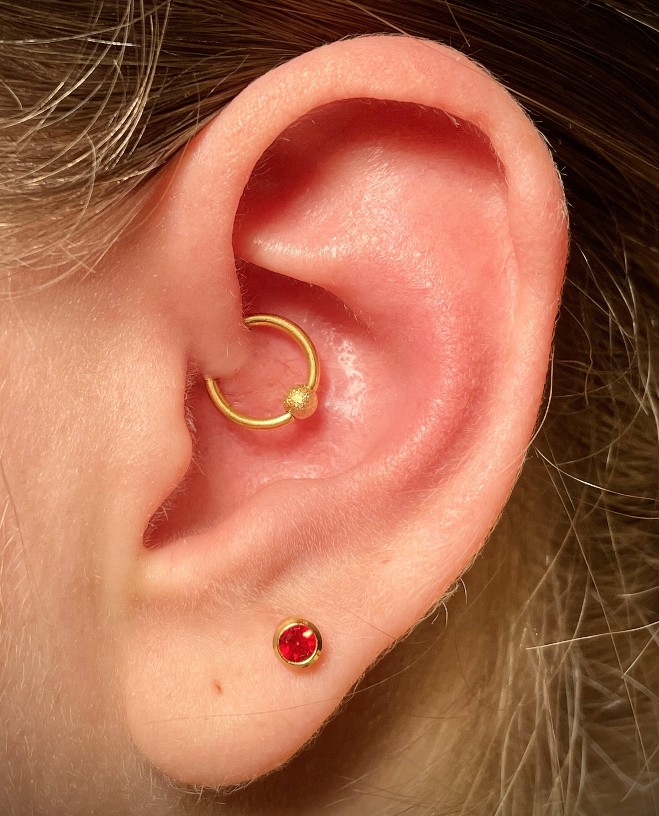 Nahaufnahme eines menschlichen Ohrs mit einer goldenen Creole und einem Ohrpiercing mit rotem Stein.