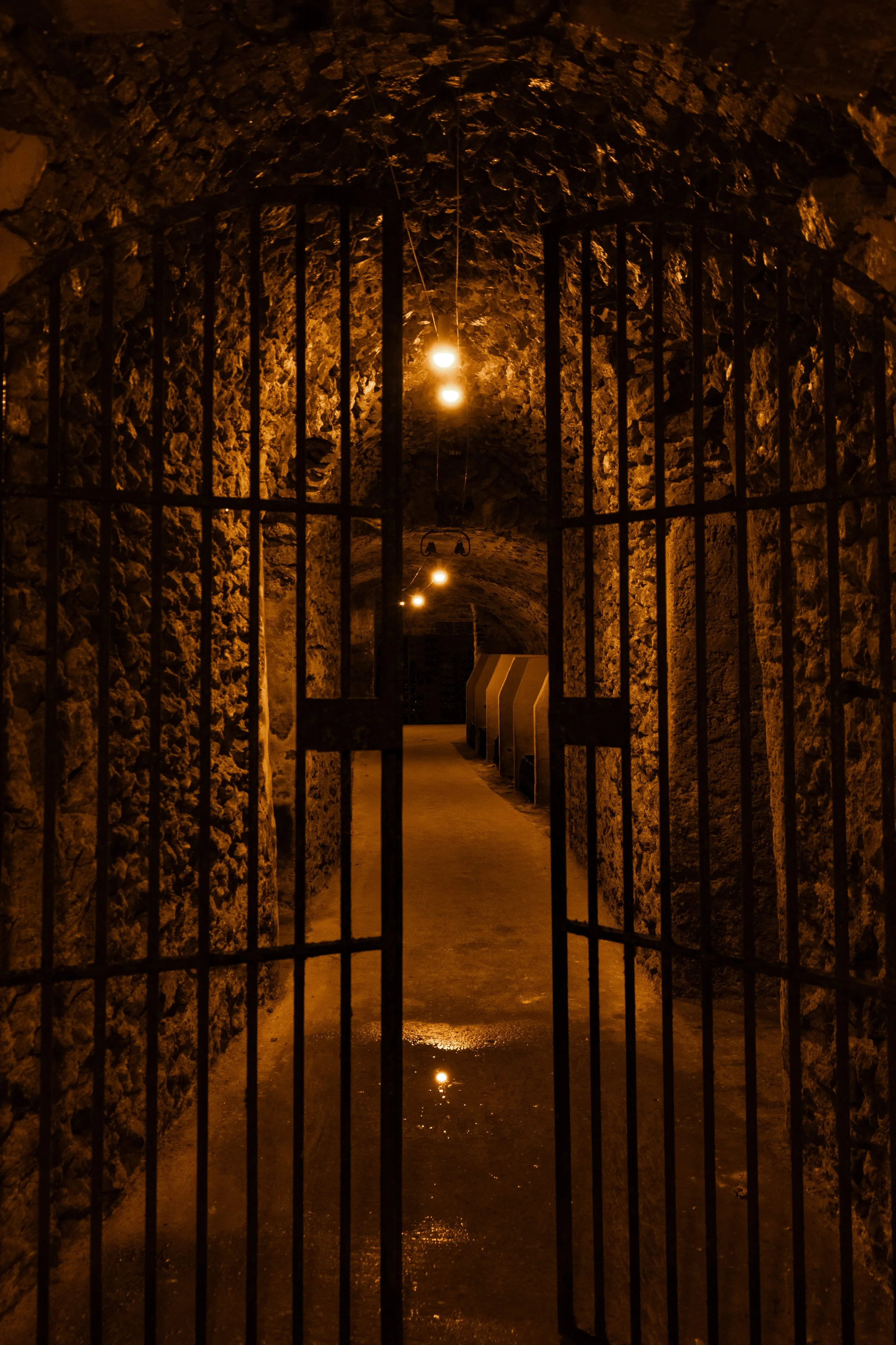 Coffre en pierre avec une grille en métal et des lampes suspendues éclairant un passage souterrain sombre, avec des réflexions sur une flaque d'eau au sol.