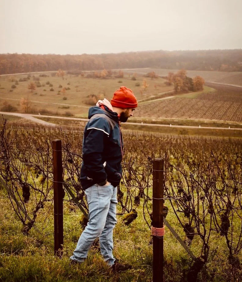 Homme regardant une vigne en automne dans un paysage vallonné