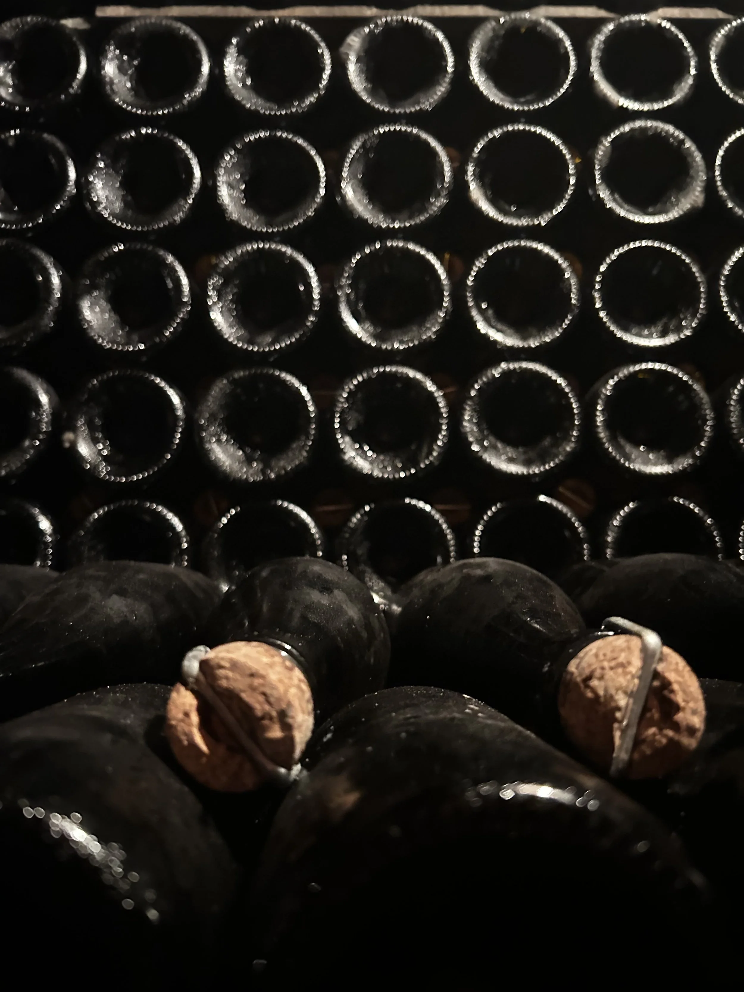 Vignoble contenant plusieurs bouteilles de vin en verre noir, vues de dessus, bouchons en liège visibles à l'avant.