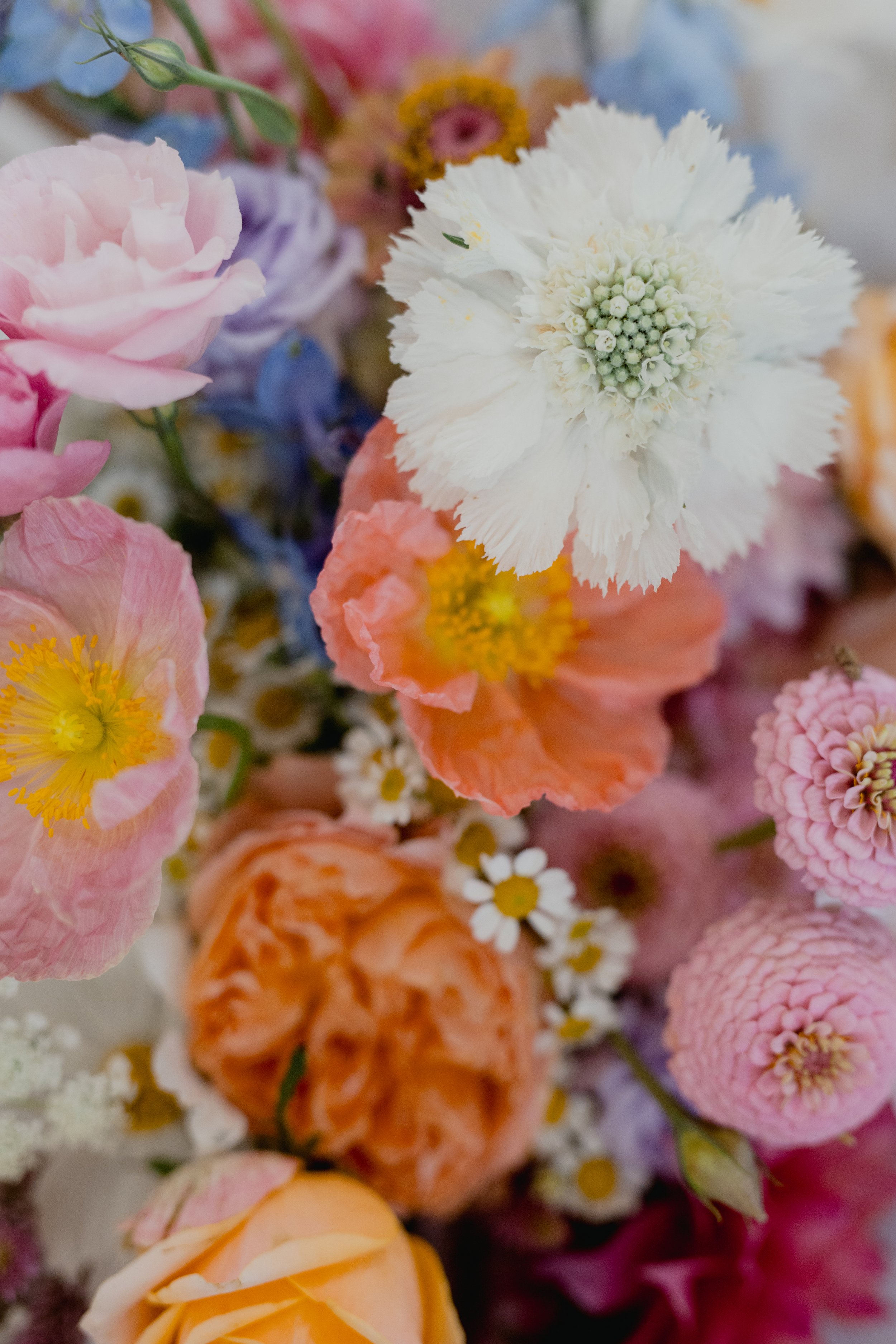 ADAMS PEAK BARN WEDDING 