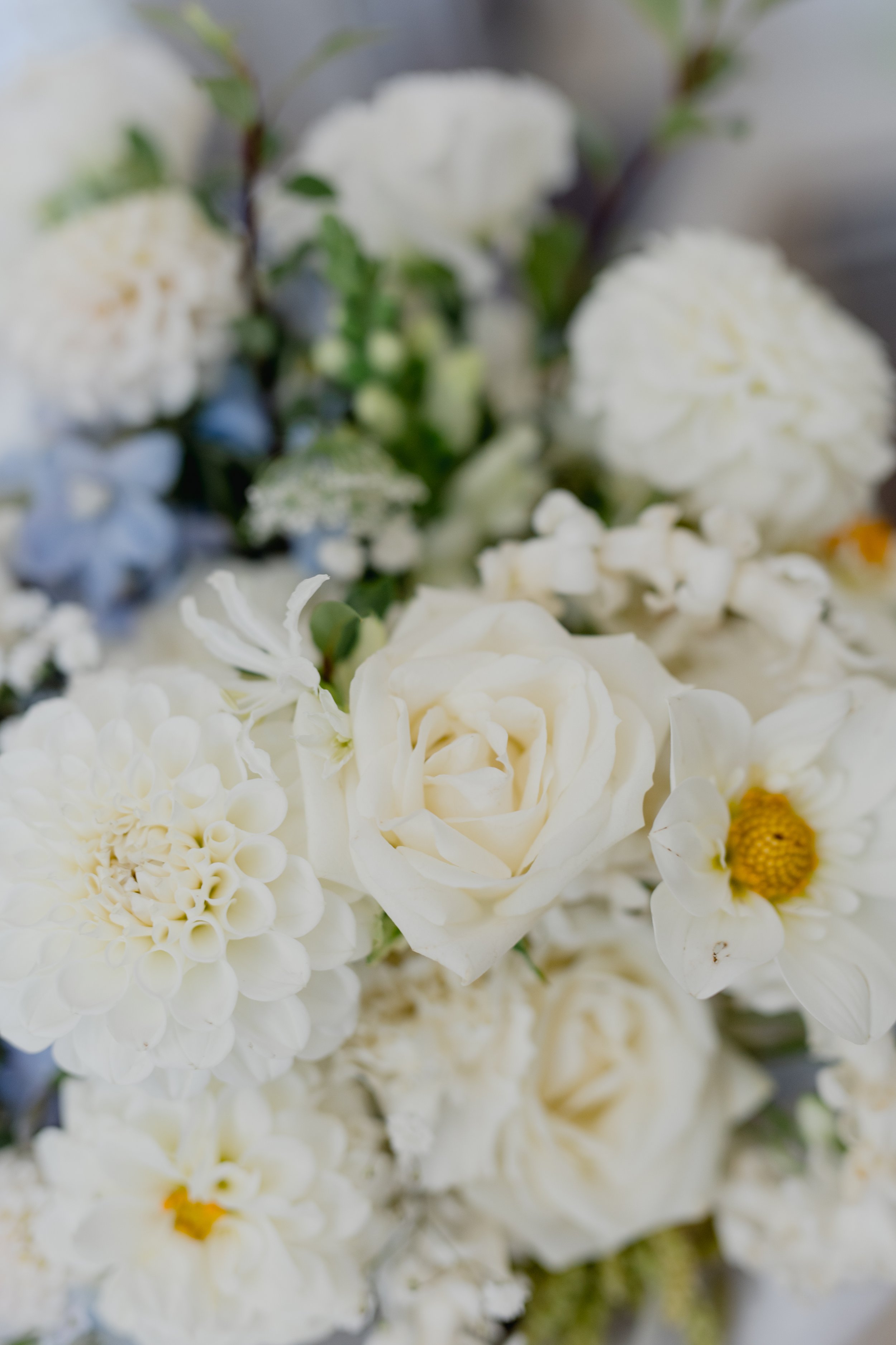 PEPPERS CREEK WEDDING 