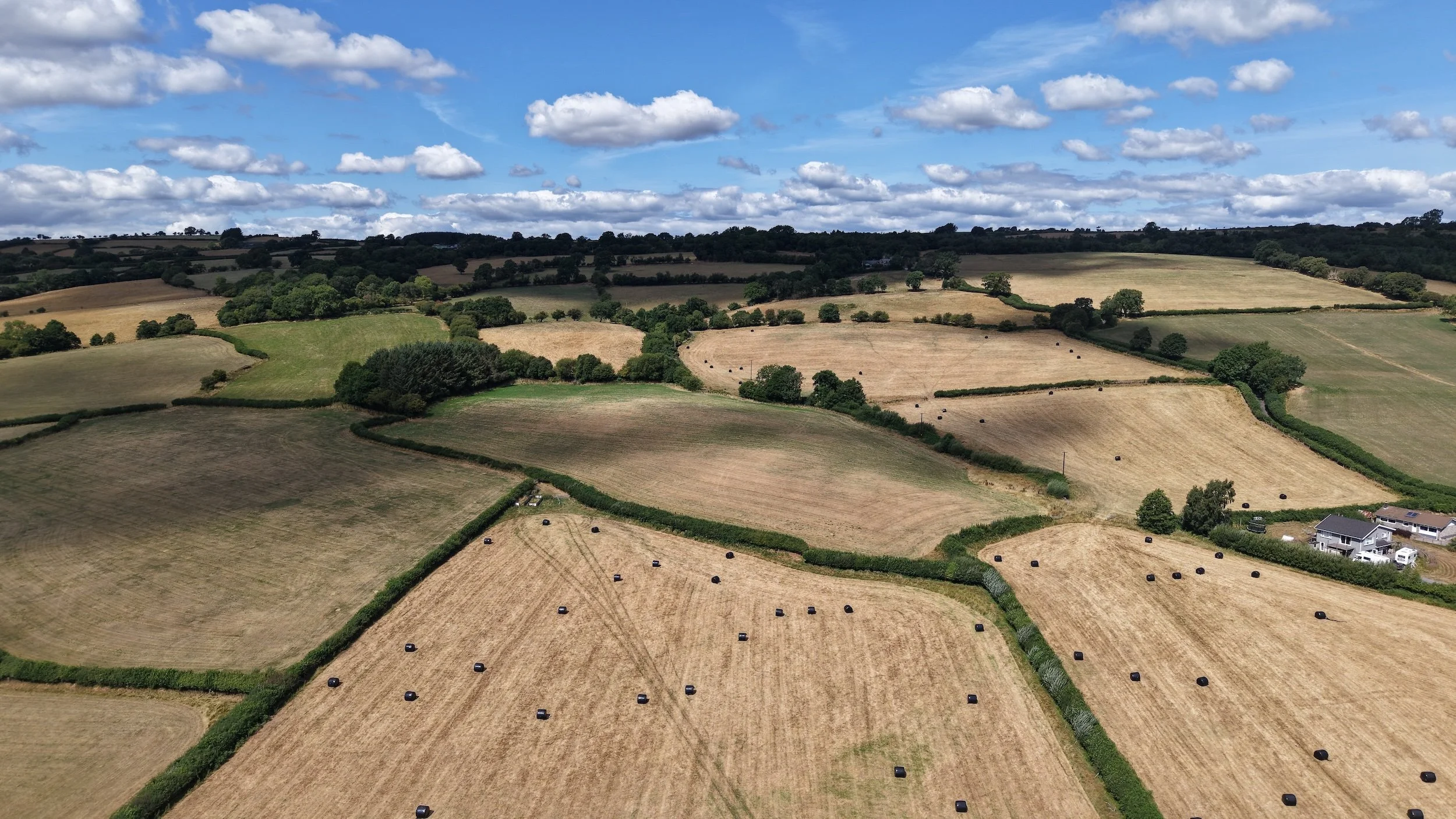 DJI_20260807184417_0997_D.jpeg