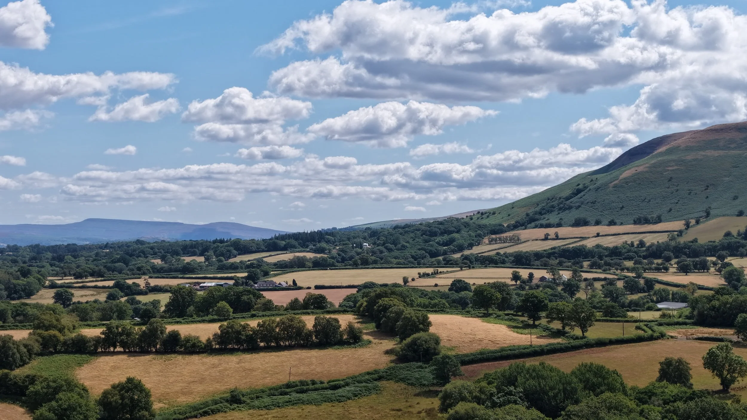 DJI_20260807184352_0993_D.jpeg