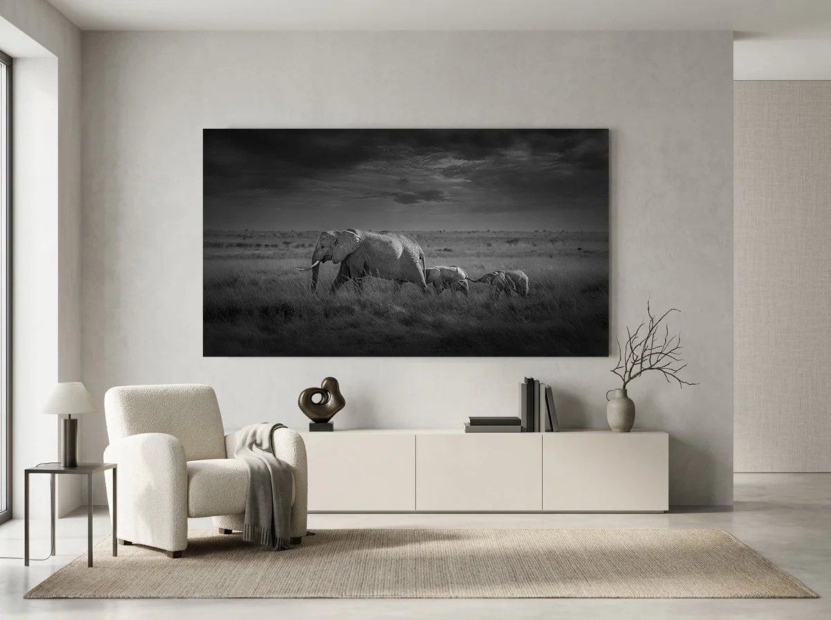 Fine Art Aluminium Print - Ratio 16:9