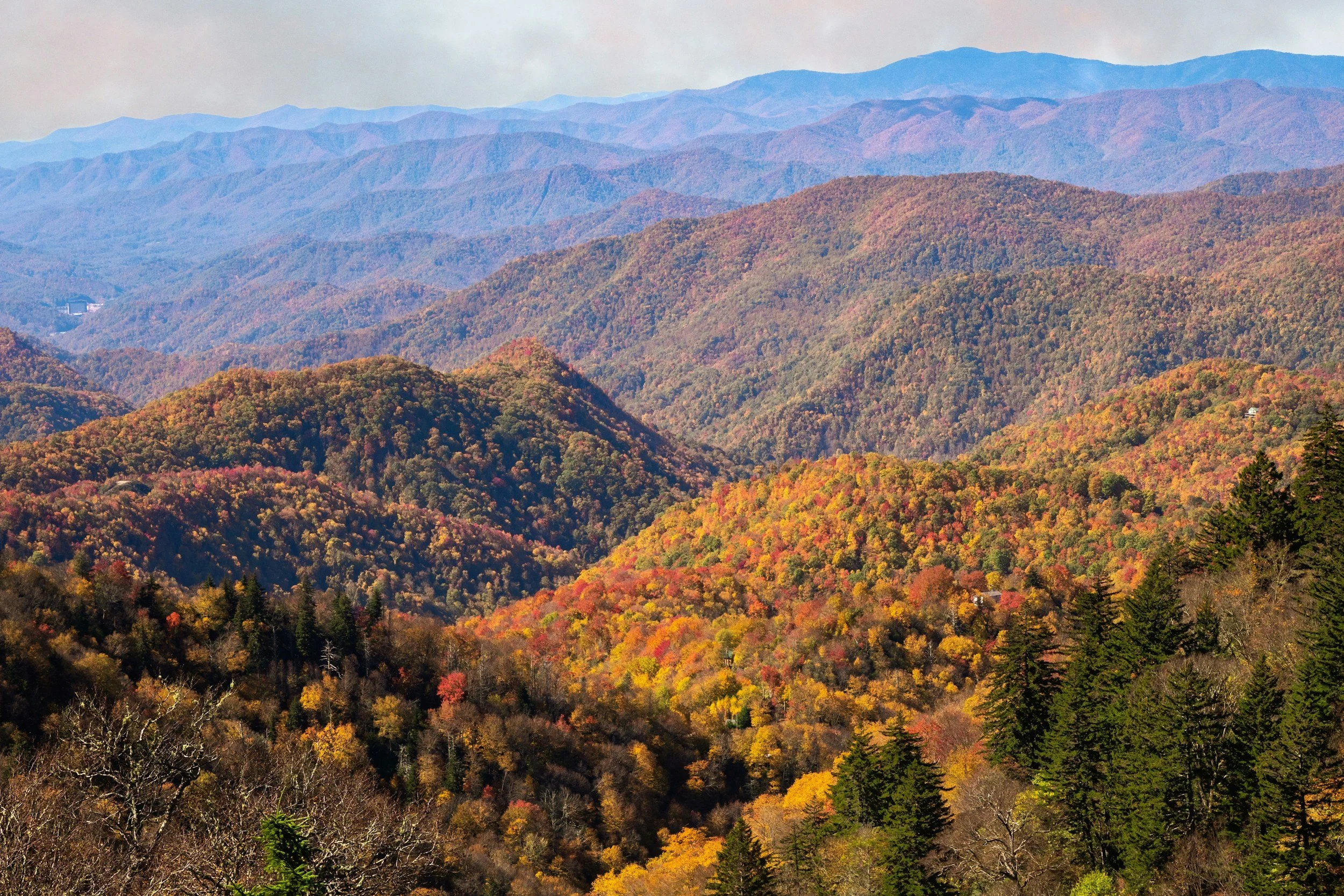 Autumn view of the North Georgia mountains near Dahlonega and the Blue Ridge.